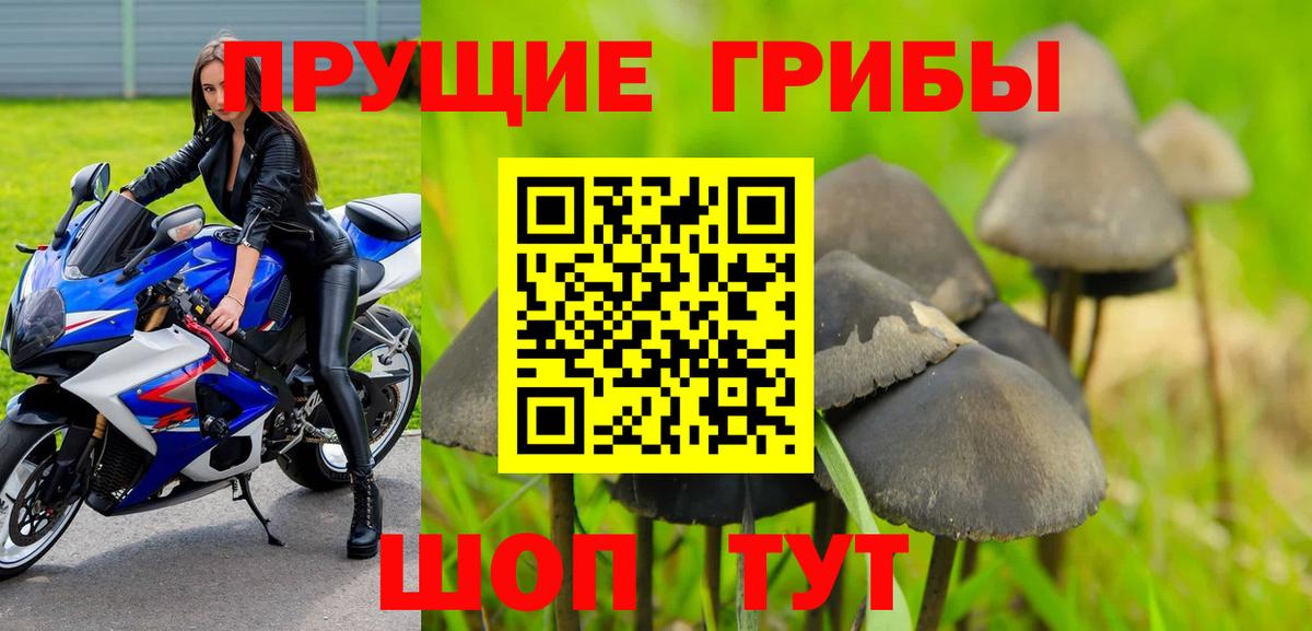купить   Псилоцибиновые грибы GOLDEN TEACHER  Вход с VPN  Томск 